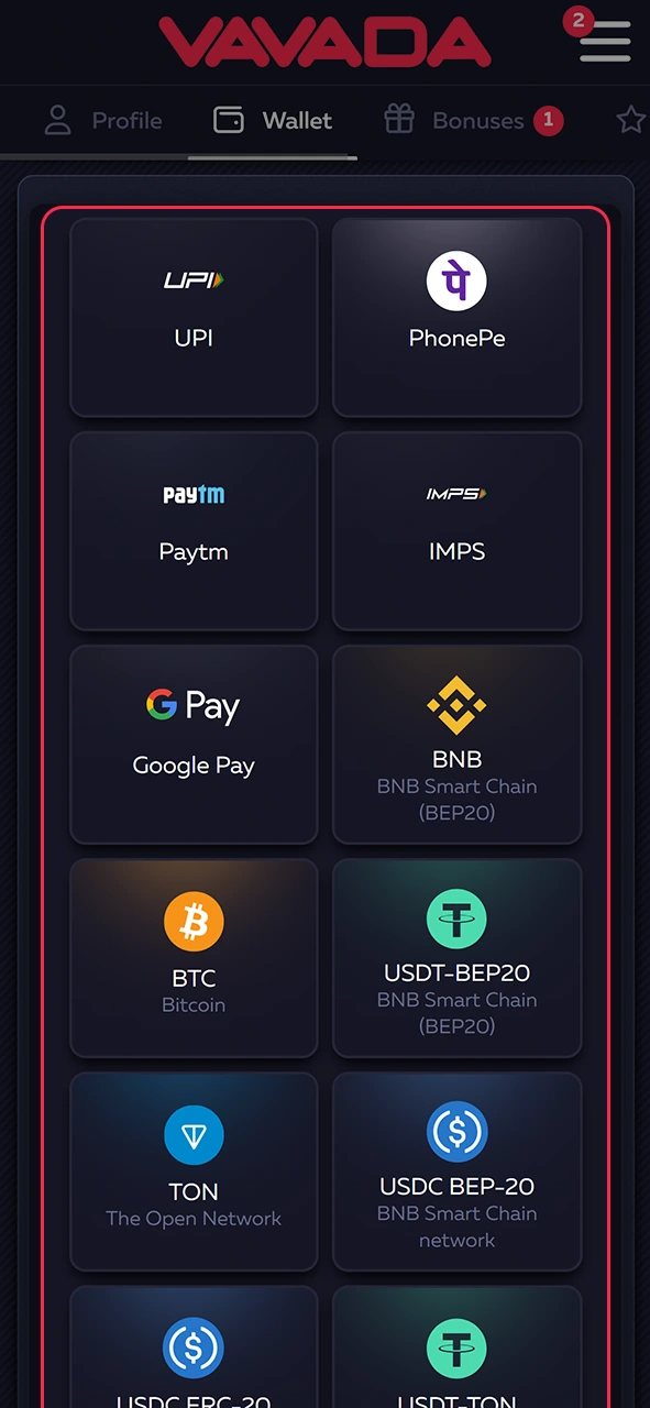 Find the payment system you need on Vavada.